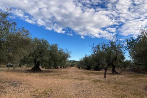Finca i El Perello, Tarragona, El Perello - € 77.000 | Ref: Finca Manu Ampo - foto 30